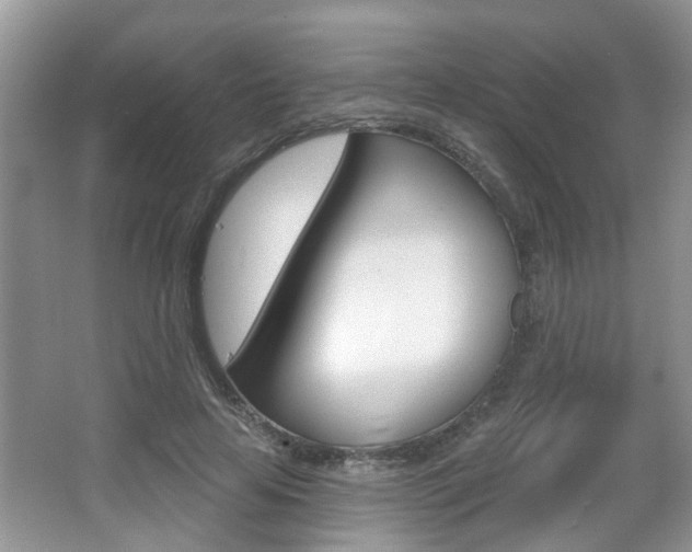 X0000067330641200603310859
