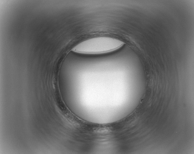 X0000067330643200603310859