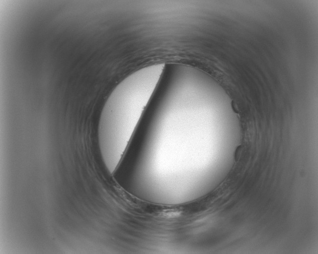 X0000067330651200603310900
