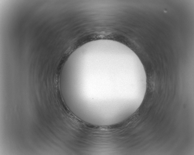 X0000067330657200603310900