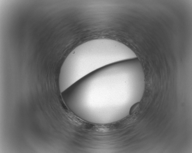 X0000067330658200603310900