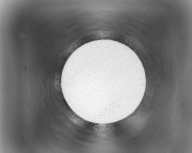 X0000067330672200603310900