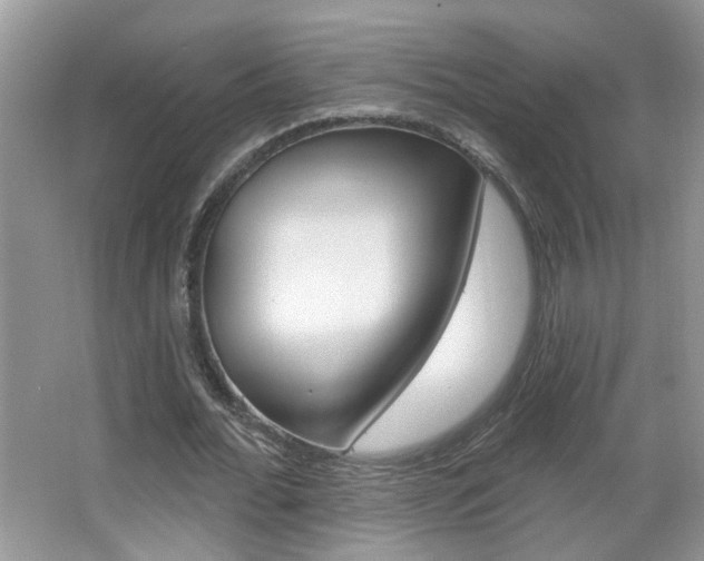 X0000067330676200603310859