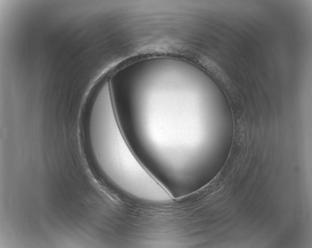 X0000067330680200603310859