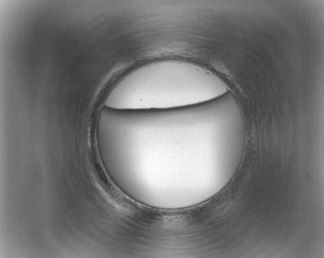 X0000067330686200603310859