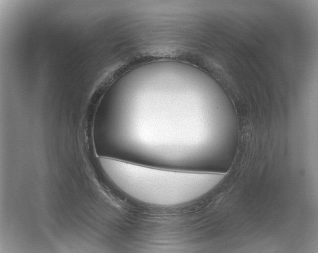 X0000067330688200603310859