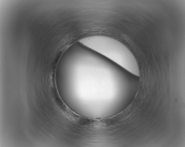 X0000067330696200603310859