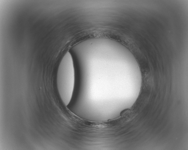 X0000067330698200603310859