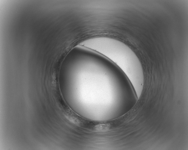 X0000067330700200603310859
