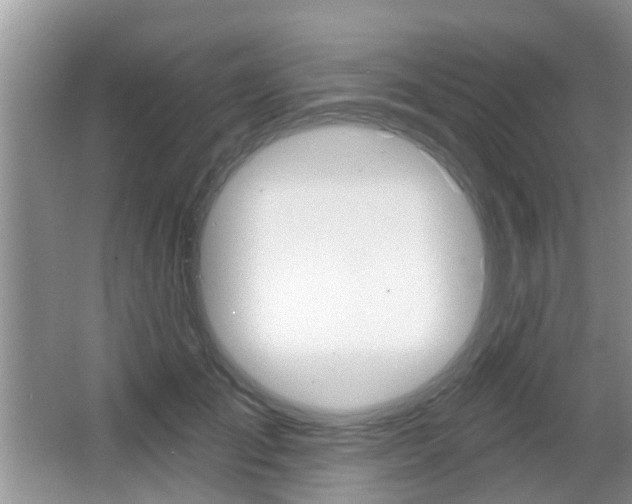 X0000067330701200603310859