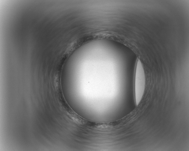 X0000067330708200603310858