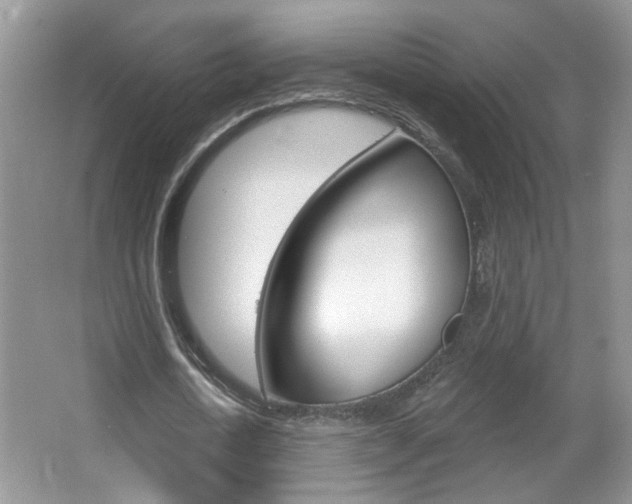 X0000067330722200603310857
