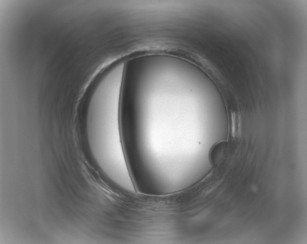 X0000067330723200603310857