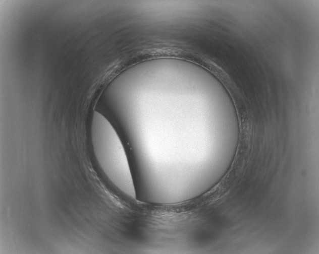 X0000067330729200603310858
