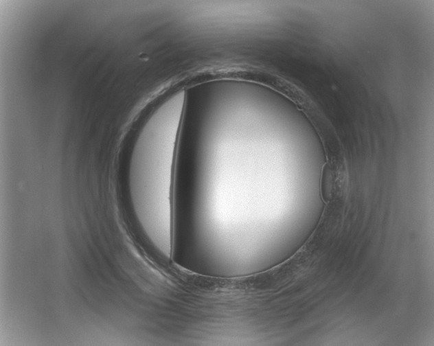 X0000067330732200603310858