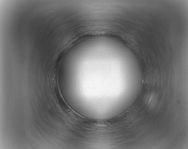X0000067330743200603310858