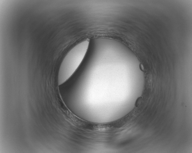 X0000067330746200603310858