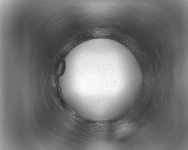 X0000067330755200603310858