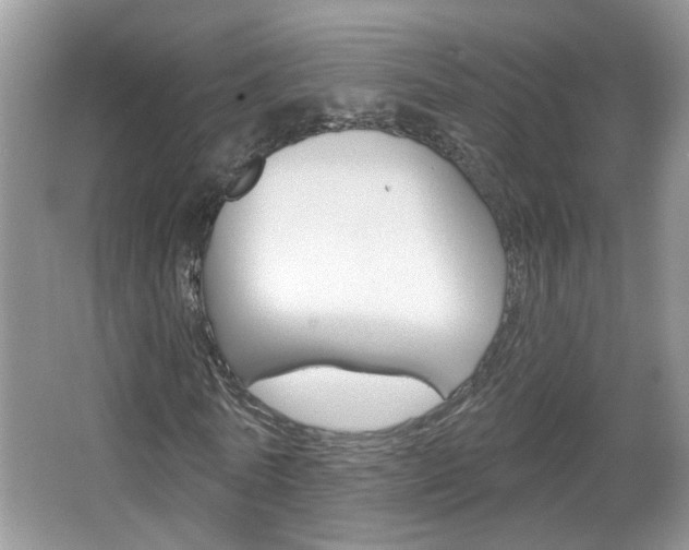 X0000067330770200603310857