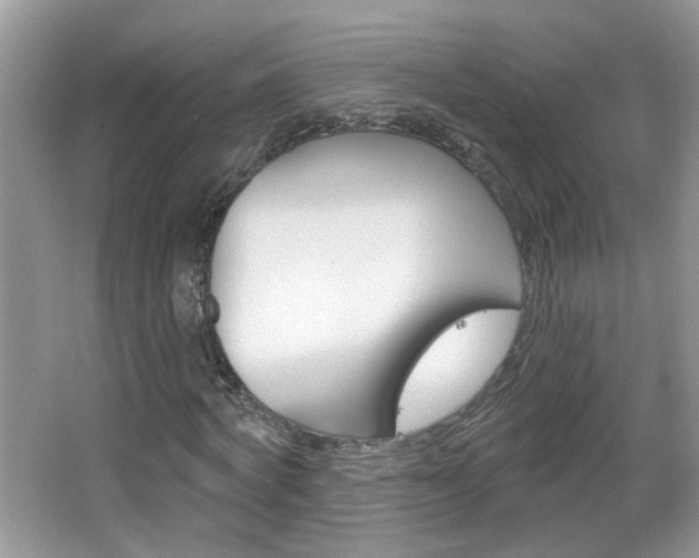 X0000067330772200603310857