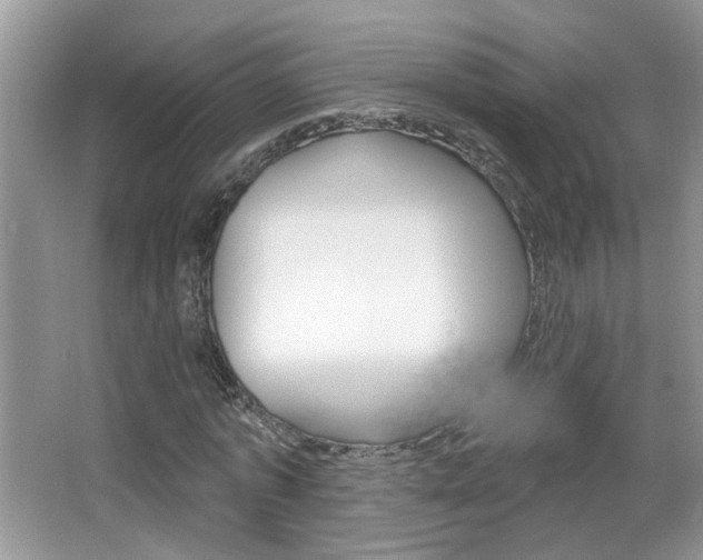 X0000067330773200603310857