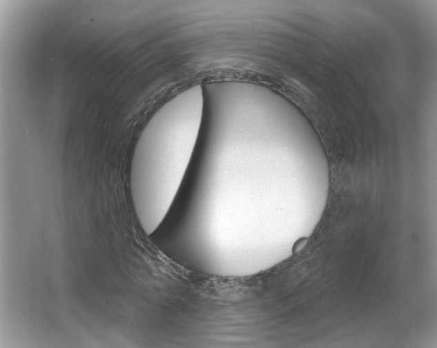 X0000067330774200603310857