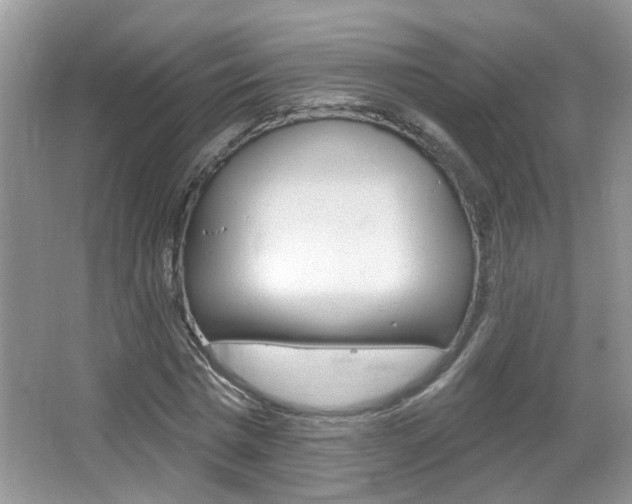 X0000067330777200603310857