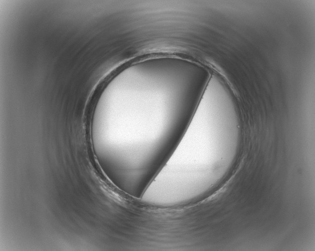 X0000067330779200603310857