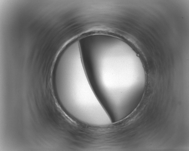 X0000067330791200603310857