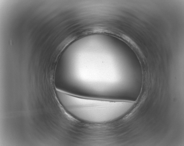 X0000067330801200603310857