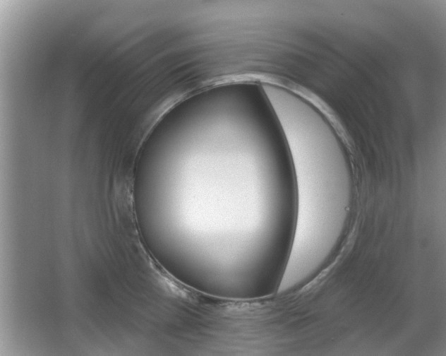 X0000067330809200603310857