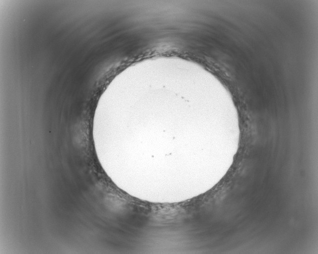 X0000067330824200603310856