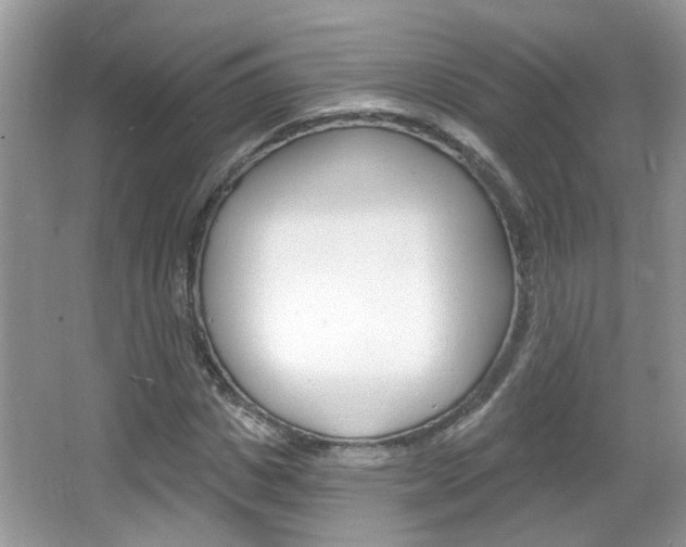 X0000067330825200603310856