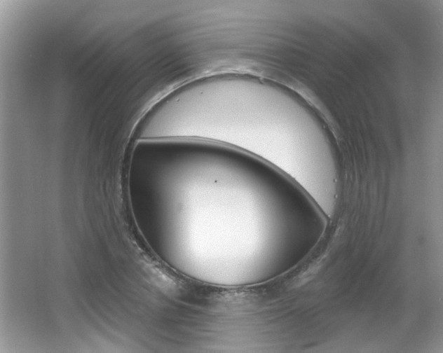 X0000067330834200603310856
