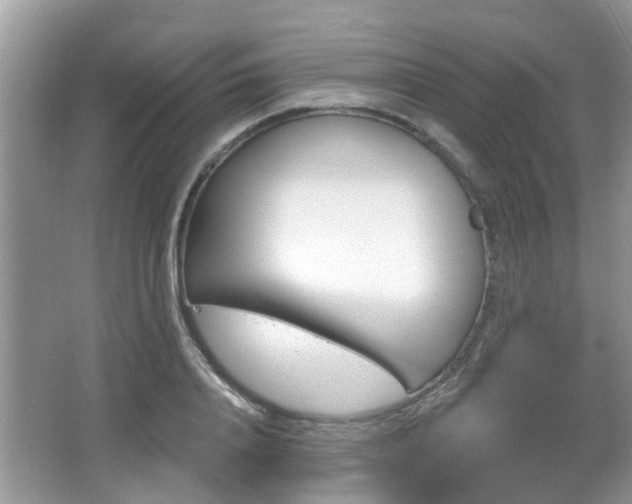 X0000067330840200603310856
