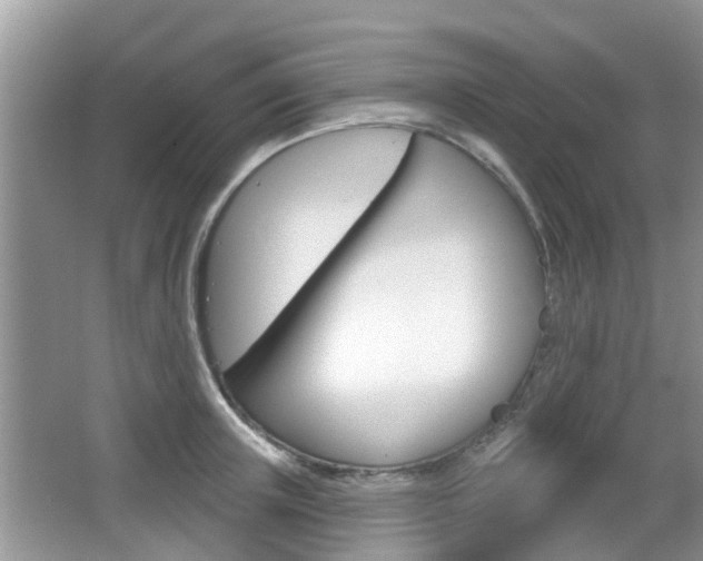 X0000067330851200603310856
