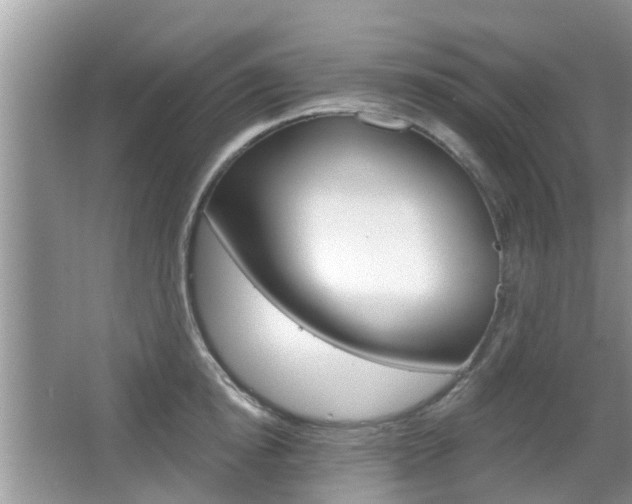 X0000067330854200603310856