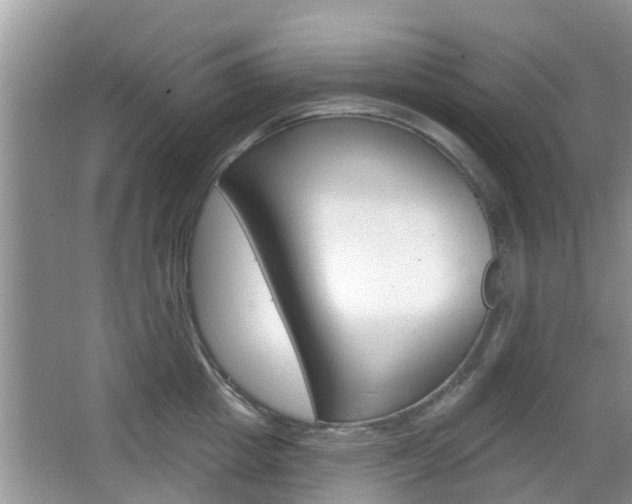 X0000067330857200603310857