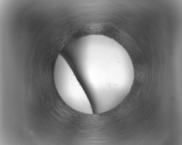 X0000067330866200603310856
