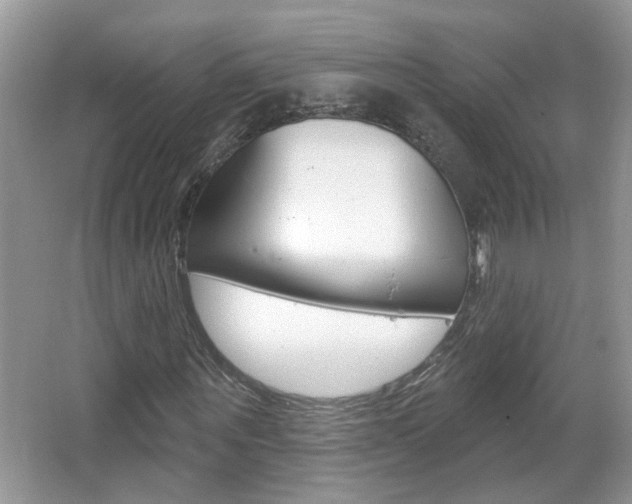 X0000067330867200603310856