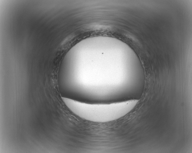 X0000067330869200603310856