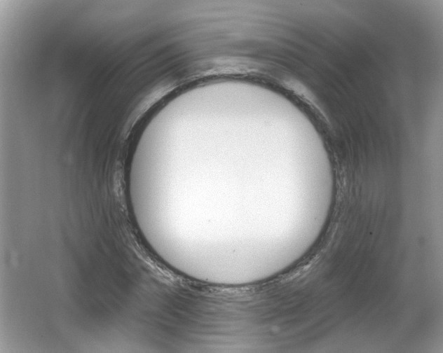 X0000067330874200603310856
