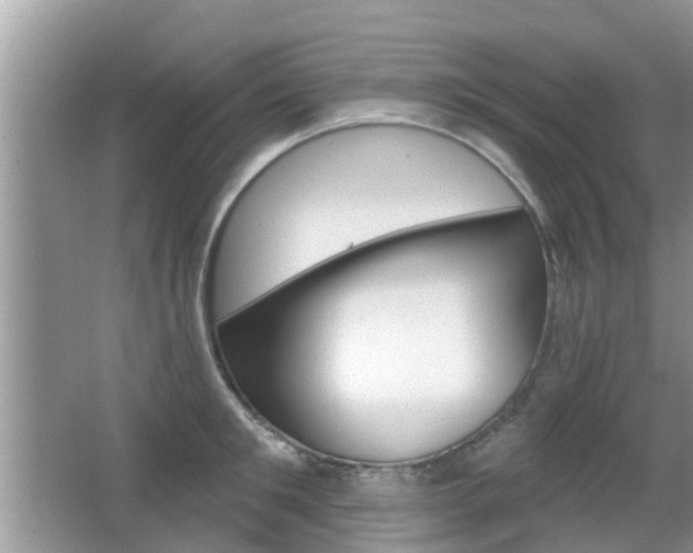 X0000067330901200603310855