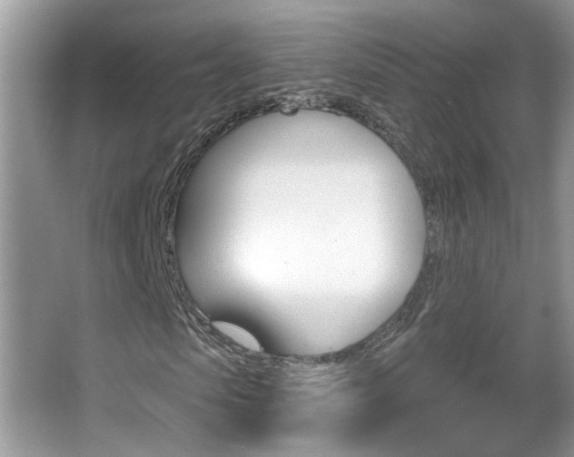 X0000067330913200603310854