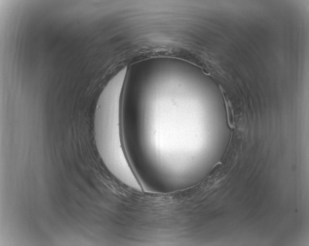 X0000067330916200603310854