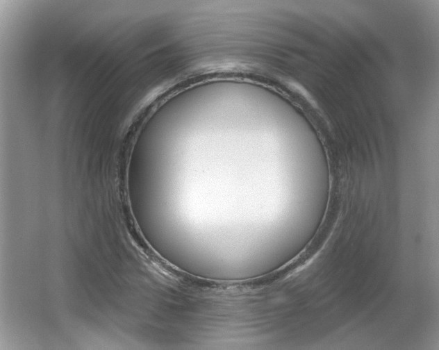 X0000067330922200603310854
