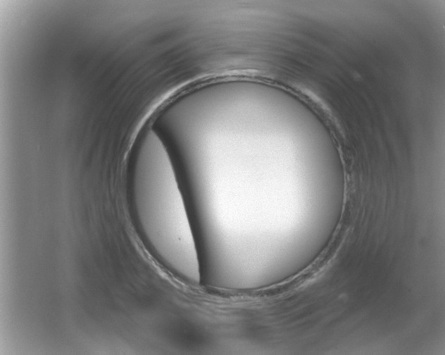 X0000067330933200603310855