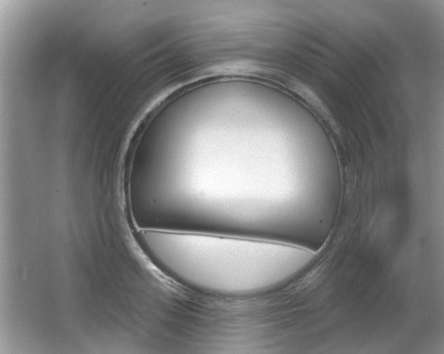 X0000067330939200603310855