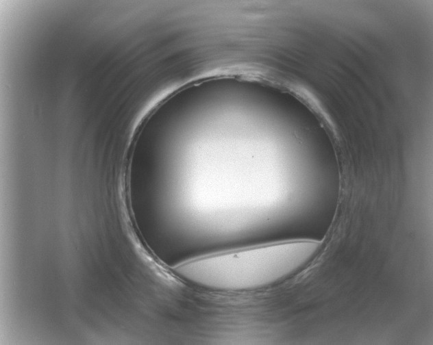 X0000067330952200603310855