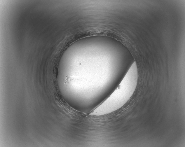X0000067330961200603310854